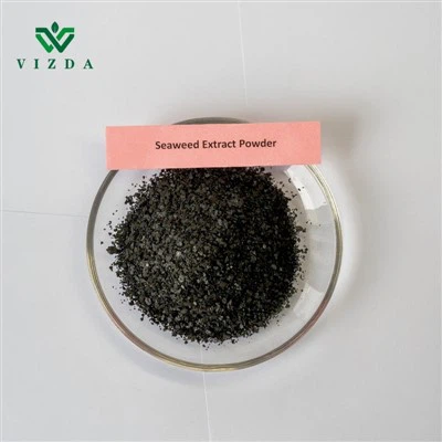 Serbuk Nutrisi Ekstrak Rumpai Laut