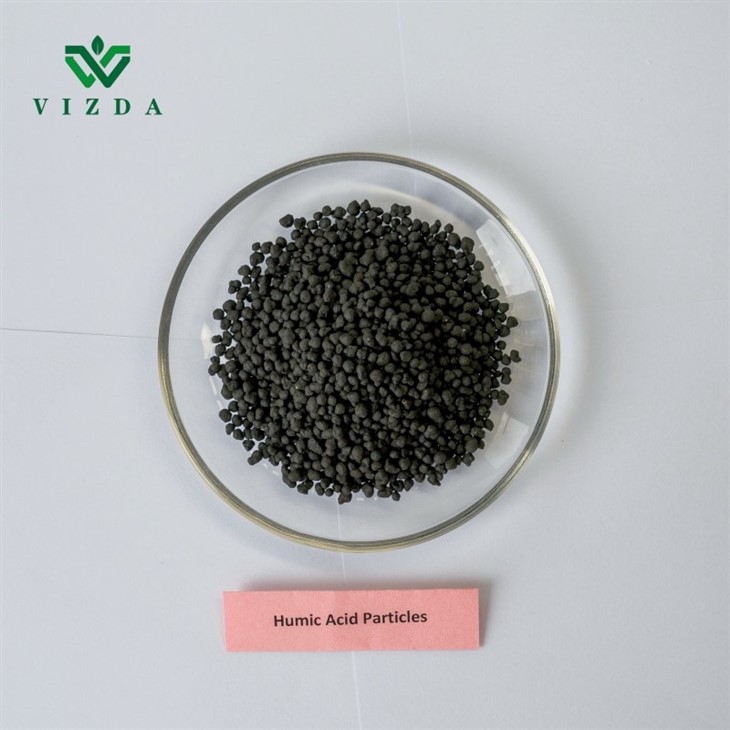 Sustainable Agriculture Humic Acid