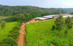 Kekurangan Baja di Burundi Menimbulkan Ketakutan Terhadap Krisis Makanan